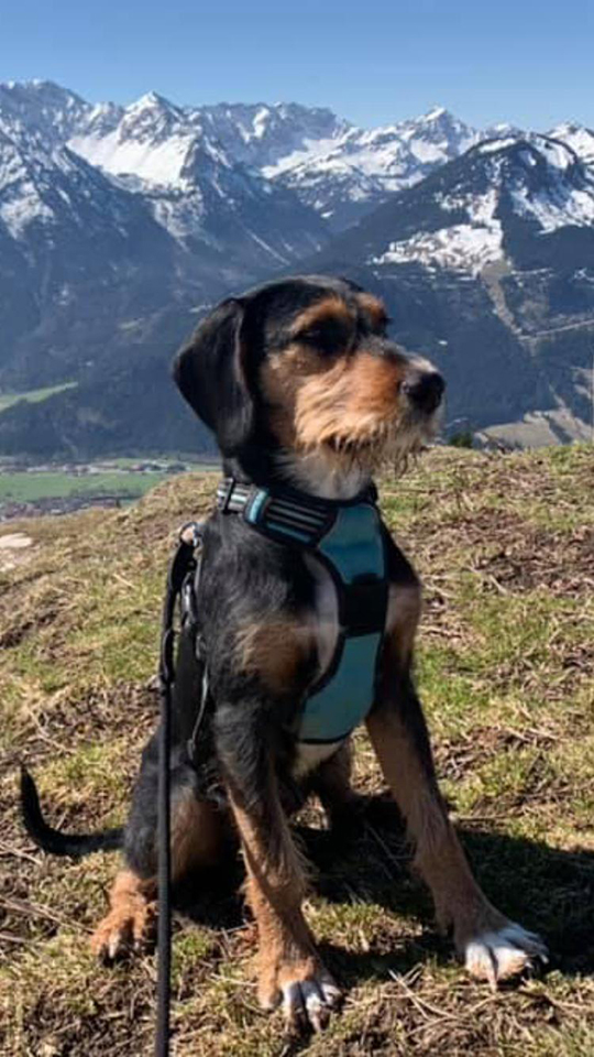 eeremiah-rescue-center-of-animals-gluecksfaellchen-frodo