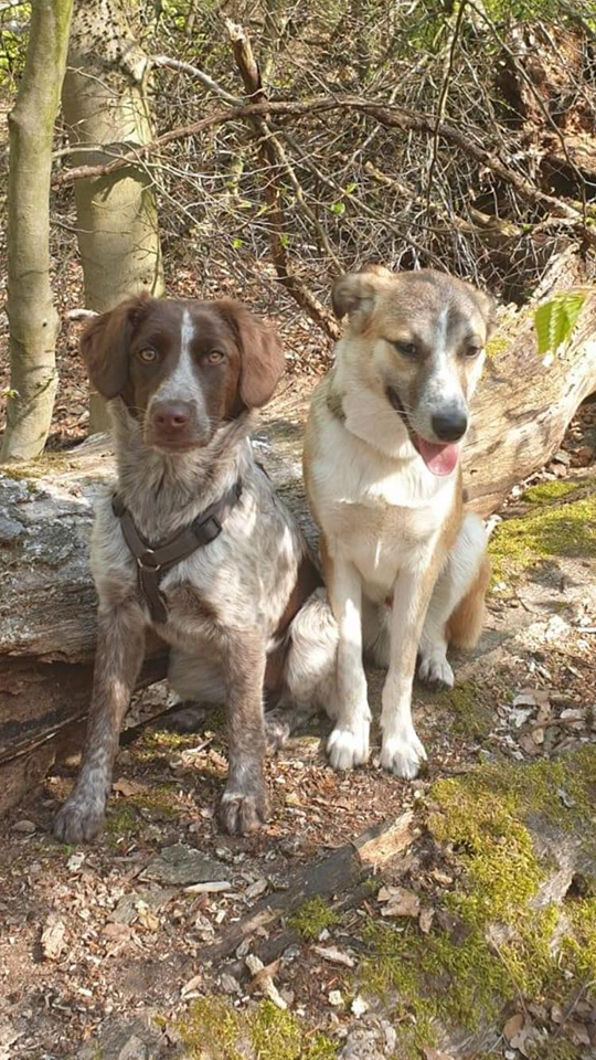 eeremiah-rescue-center-of-animals-gluecksfaellchen-tovi-sam