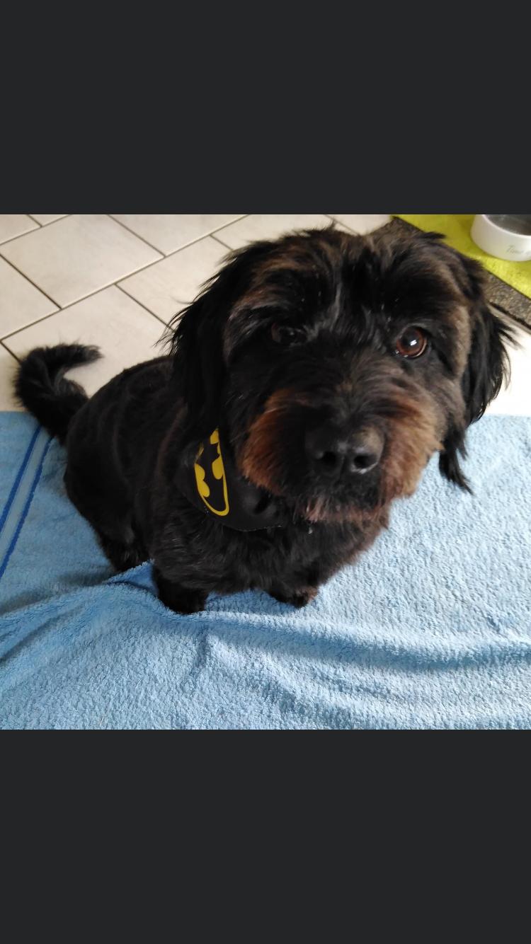 eeremiah-rescue-center-of-animals-gluecksfaellchen-yasha-02